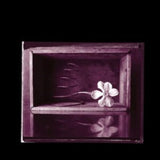 Rob Crow & Kramer 7Inch - Hymns