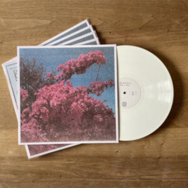 Elisabeth Klinck LP - Picture A Frame