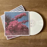 Elisabeth Klinck LP - Picture A Frame