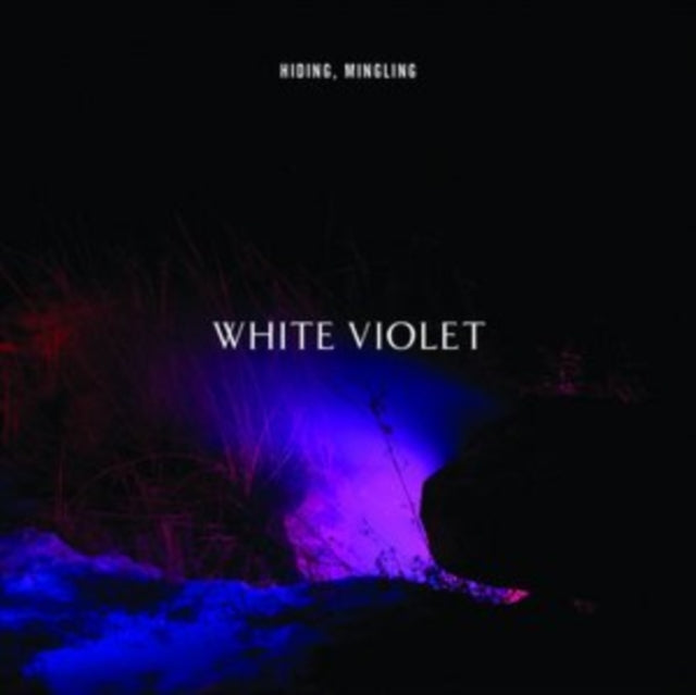 White Violet LP - Hiding  Mingling