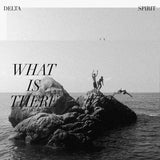 Delta Spirit LP - What Is There