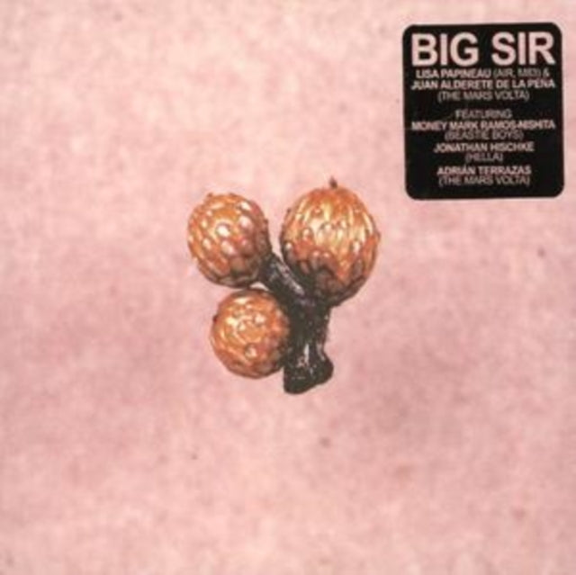 Big Sir CD - Und Die Scheibe Andert Sich Immer
