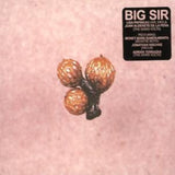 Big Sir CD - Und Die Scheibe Andert Sich Immer
