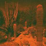 Cameron Knowler & Eli Winter CD - Anticipation