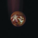 Poolblood LP - Mole