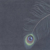 Unwed Sailor CD - Circles Ep