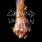 Ground Unicorn Horn CD - Damn I Wish I Was Fat