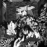 Gross Ghost CD - Public Housing