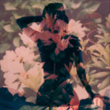 Modern Vices CD - Modern Vices