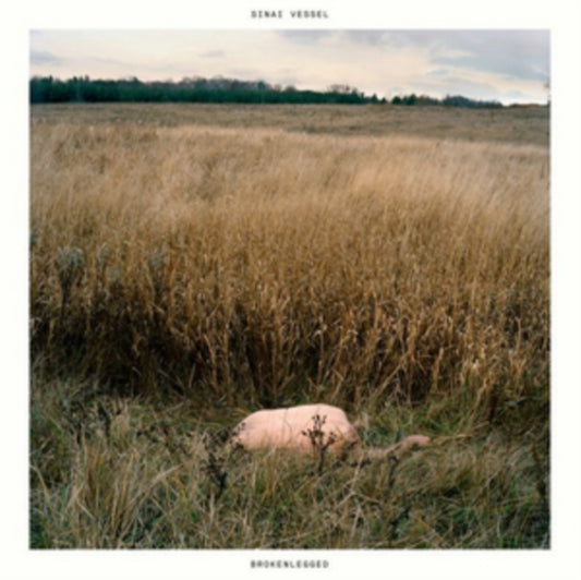 Sinai Vessel CD - Brokenlegged