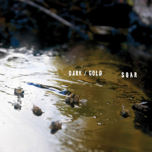 Soar Cassette - Dark/Gold