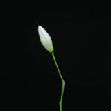 Rocket Science CD - Snake