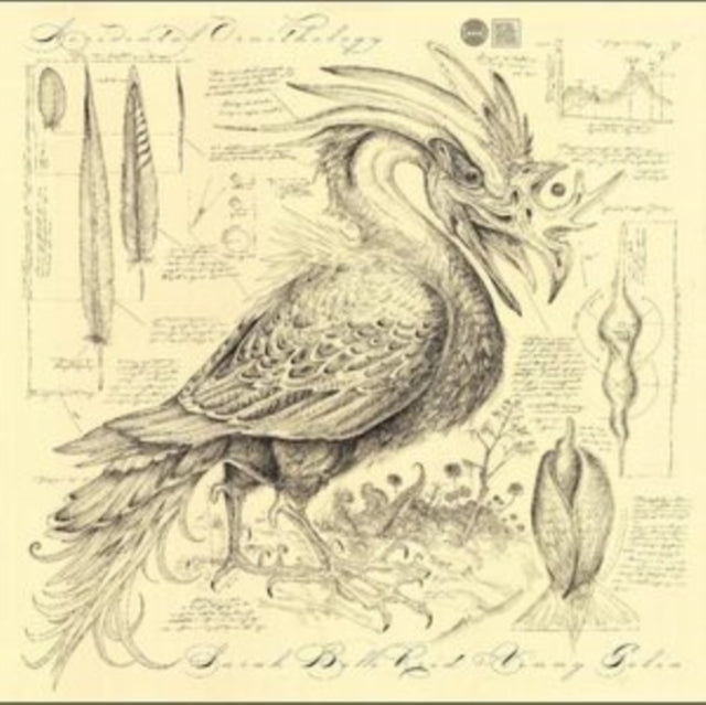 Sarah Belle Reid & Vinny Golia CD - Accidental Ornithology