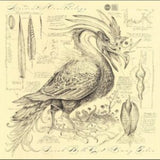Sarah Belle Reid & Vinny Golia CD - Accidental Ornithology