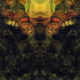 House Of Low Culture CD - Edwards Lament