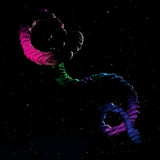 Wildbirds & Peacedrums CD - The Snake