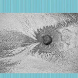 Four Tet CD - New Energy
