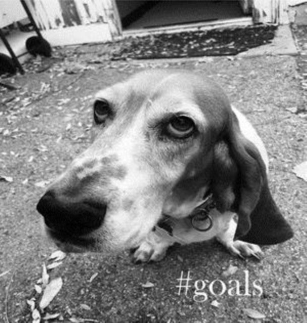 #Goals CD - #Goals