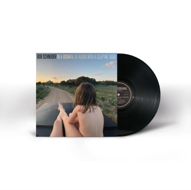 Schneider Bob LP - In A Roomful Of Blood With A S