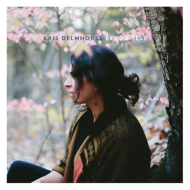 Kris Delmhorst CD - Blood Test