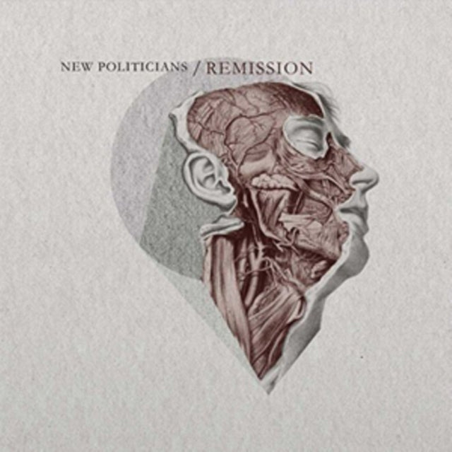 New Politicians CD - Remission