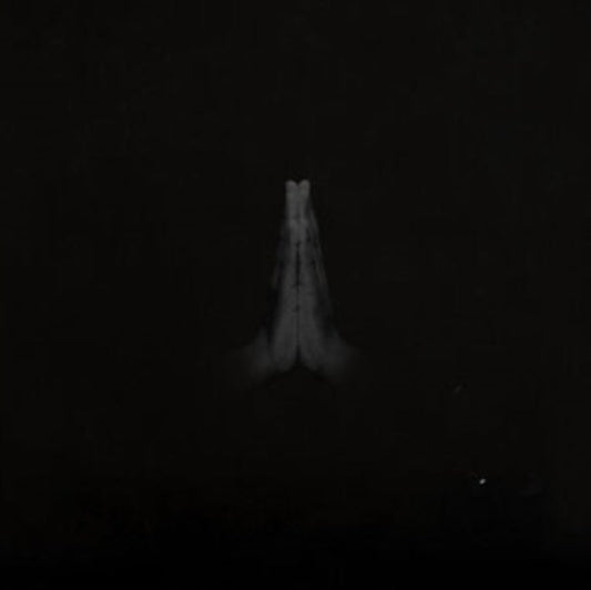 Sault LP Vinyl Record - Untitled (Rise)