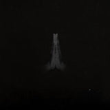 Sault LP Vinyl Record - Untitled (Rise)