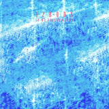 12 Rods LP - If We Stayed Alive