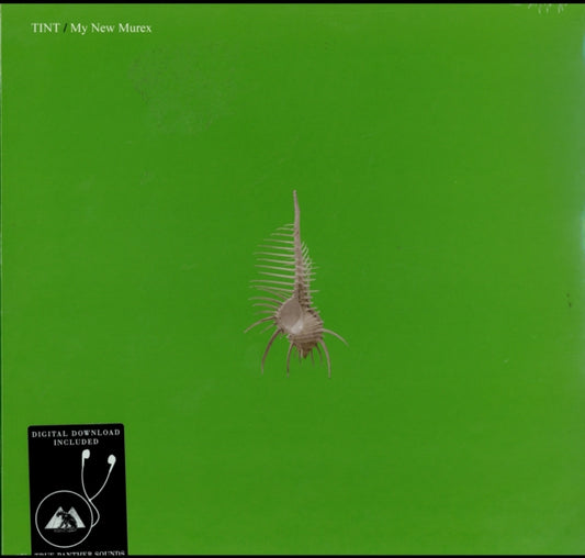 Tint 12Inch - My New Murex
