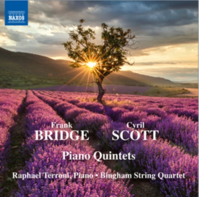 Terronibingham Quartet CD - Bridgescottpiano Quintets