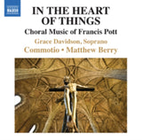 Davidsoncommotioberry CD - Pottin The Heart Of Things