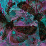 Gentle Good CD - Y Gwyfyn