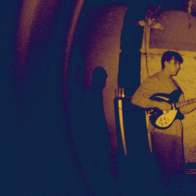 Real Numbers CD - Wordless Wonder
