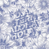 D.A. Stern LP - Aloha Hola