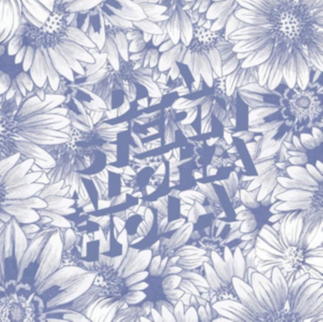 D.A. Stern CD - Aloha Hola