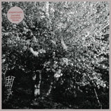 Papercuts CD - Parallel Universe Blues