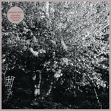 Papercuts LP - Parallel Universe Blues