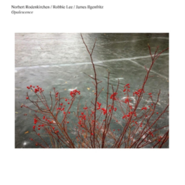 Norbert Rodenkirchen / Robbie Lee / James Ilgenfritz CD - Opalescence