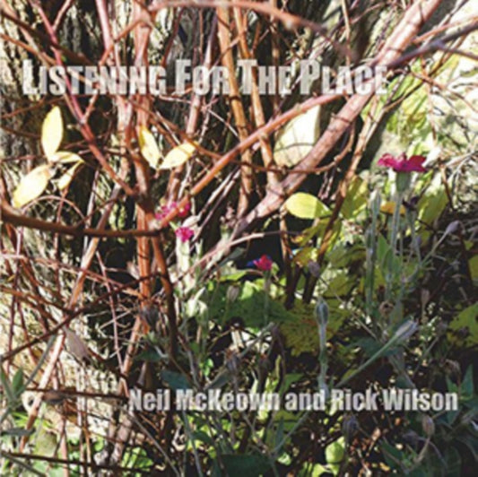 Neil Mckeown & Rick Wilson CD - Listening For The Place