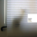 Beautiful Leopard CD - How Long Will It Take?