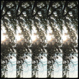 Pontiak CD - Dialectic Of Ignorance