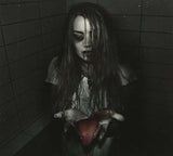 Det Vidaapne Gap CD - The Temple Of The Mind