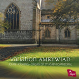 John Hosking CD - Variation Amrywiad