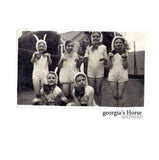 Georgias Horse CD Single - Shepherd