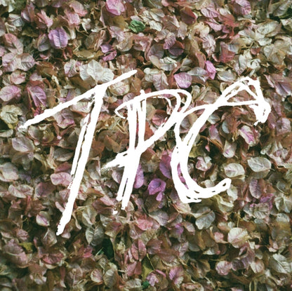 Tokyo Police Club LP - TPC