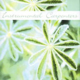Instrumental Carpenters CD - Instrumental Carpenters
