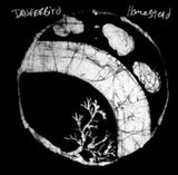 Dangerbird CD - Homestead