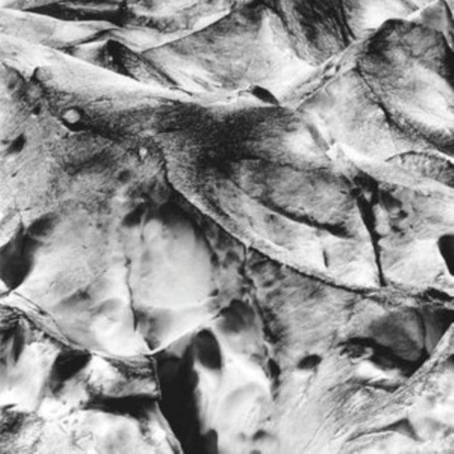 Tietchens Asmus  & Miki Yui LP - Neues Boot