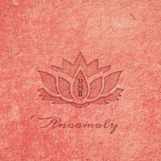 Anaamaly CD - Urban Metta Vol 2