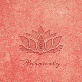 Anaamaly CD - Urban Metta Vol 2